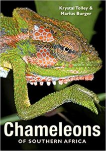 Chameleons of Southern Africa book