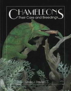 Chameleon their care and breeding book