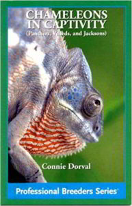 Chameleons in captivity book