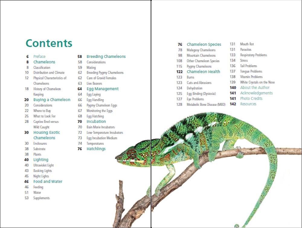 Exotic chameleons in South Africa contents