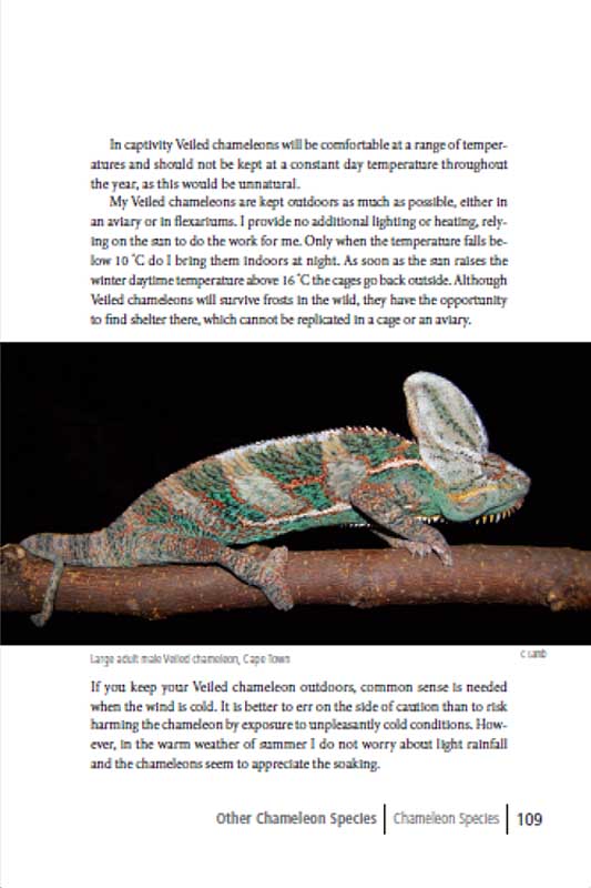 Exotic chameleons in South Africa p109