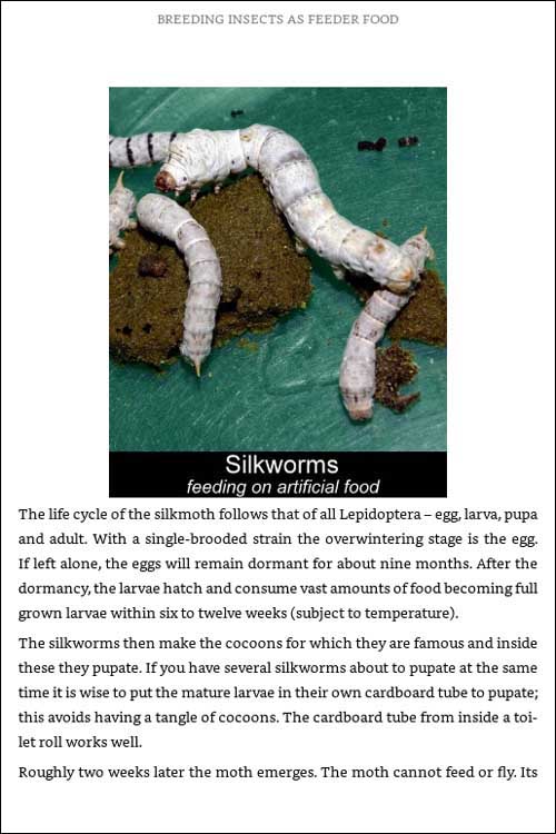 Breeding insects Kindle page 46 border