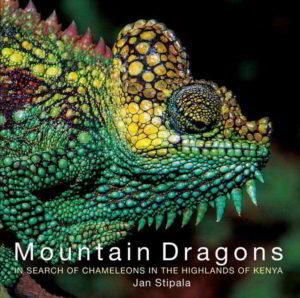 Mountain Dragons book