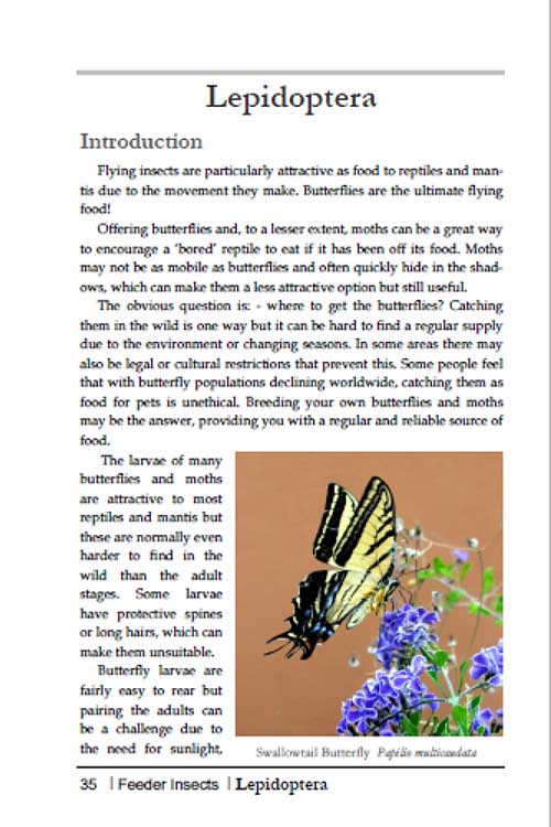 breeding insects p35