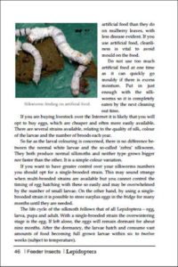 breeding insects p46 border