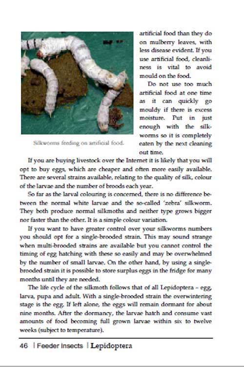 breeding insects p46
