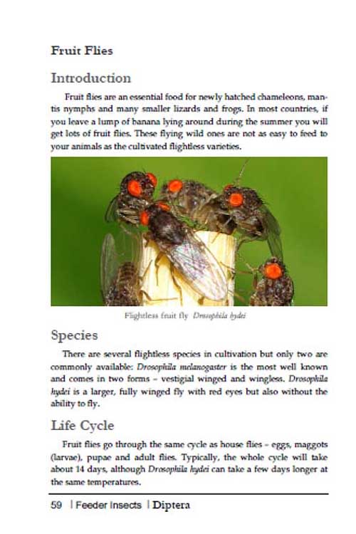 breeding insects p59