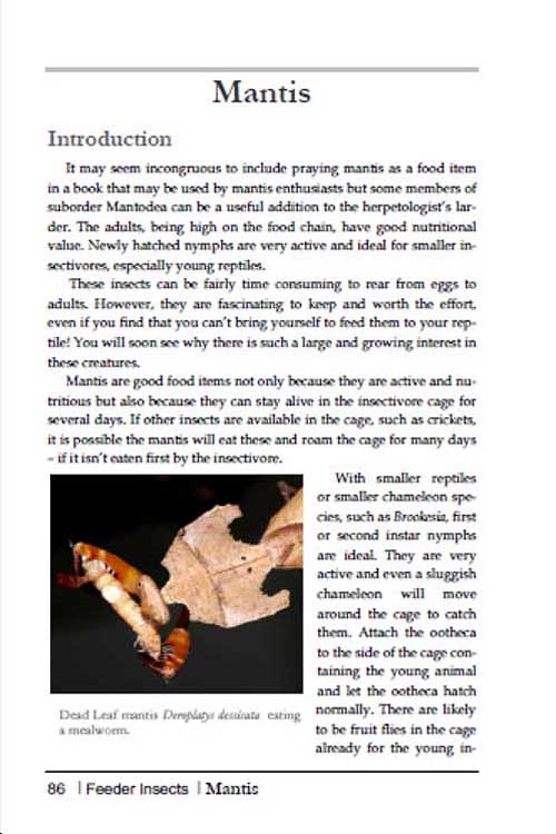 breeding insects p86