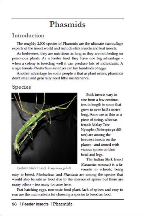 breeding insects p96